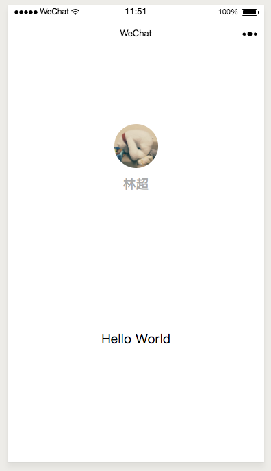 预览
